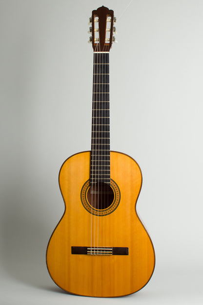 Del Pilar Classical Guitar (1971)