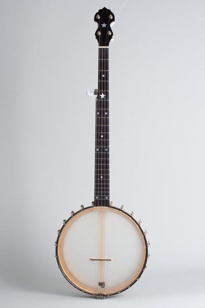 Bart Reiter Special 5 String Banjo (2017)