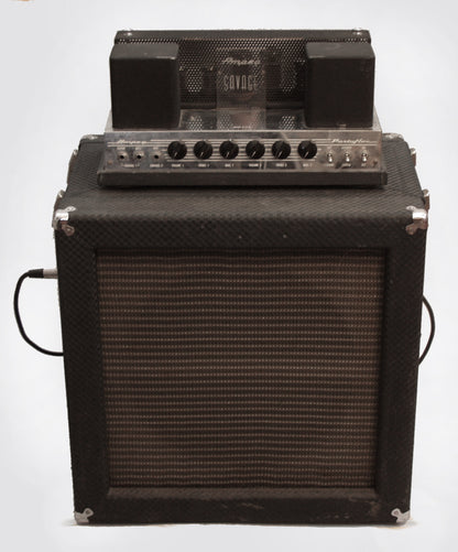 Ampeg Portaflex B-15N Tube Bass Amplifier (1965)