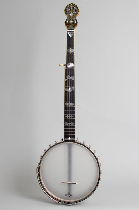 Doug Unger Custom Fairbanks Electric Style 5 String Banjo (2014)