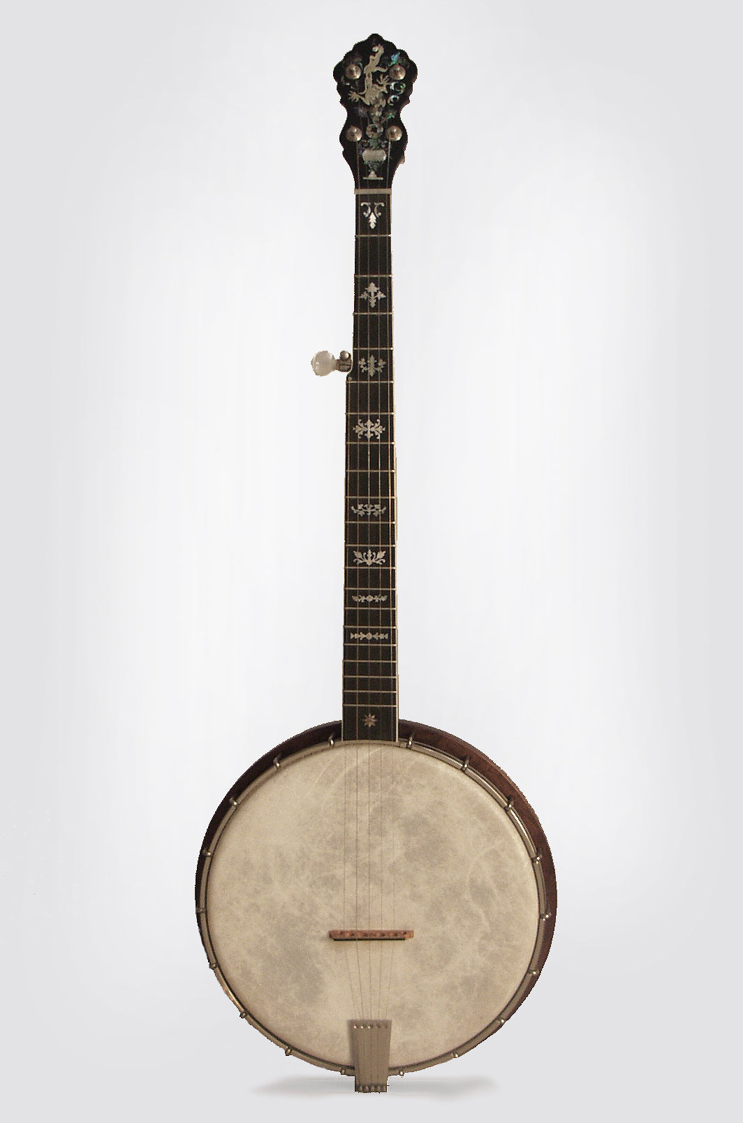 Ashborn Style Hybrid 5 String Banjo (1980's)