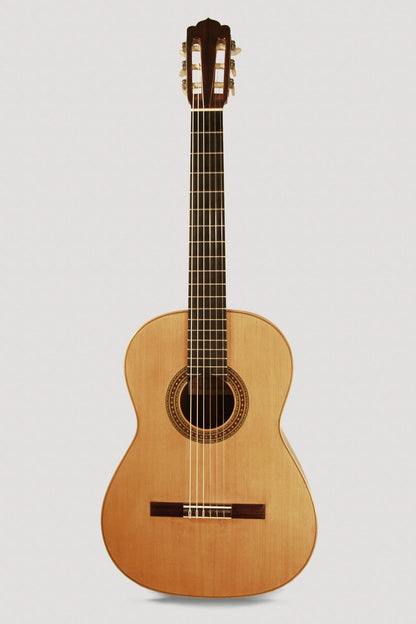 Del Pilar Standard Classical Guitar (1969)