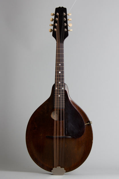 Gibson A-Junior Snakehead Carved Top Mandolin (1925)