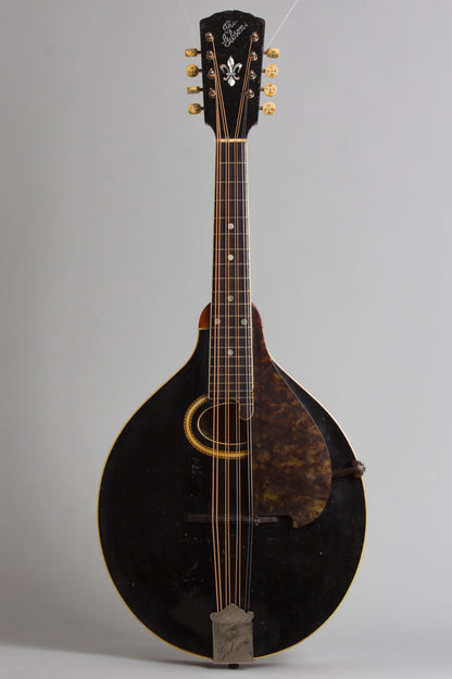 Gibson H-2 Carved Top Mandola (1913)