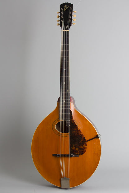Gibson K-1 Carved Top Mandocello (1915)