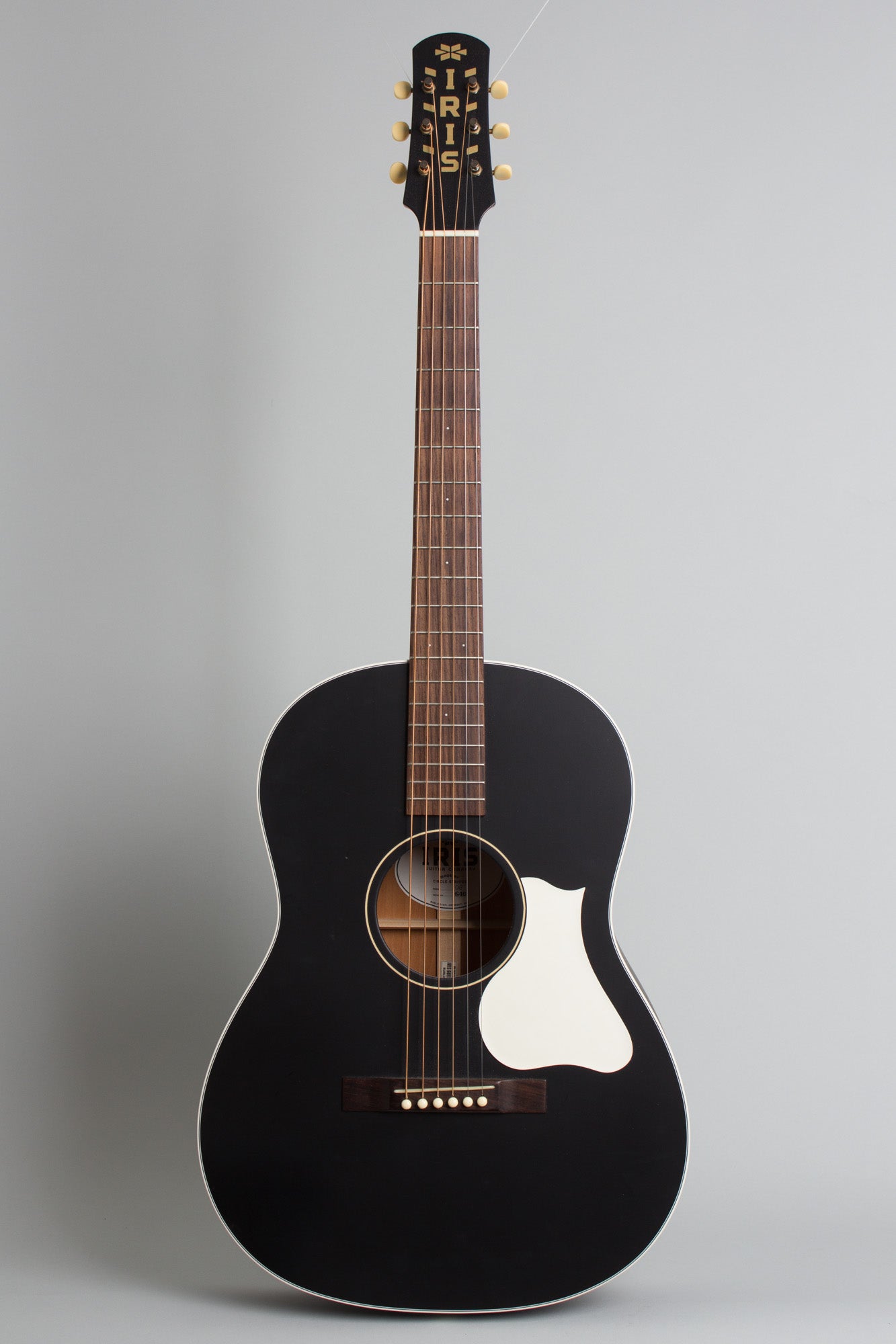 Iris OG Flat Top Acoustic Guitar (2023)