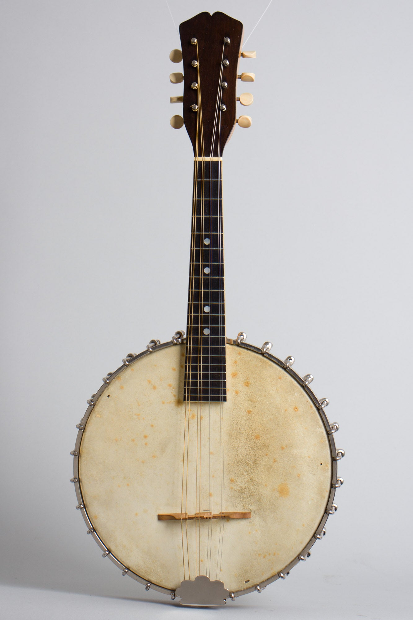 Vega Fairbanks Little Wonder Mandolin Banjo (1917)