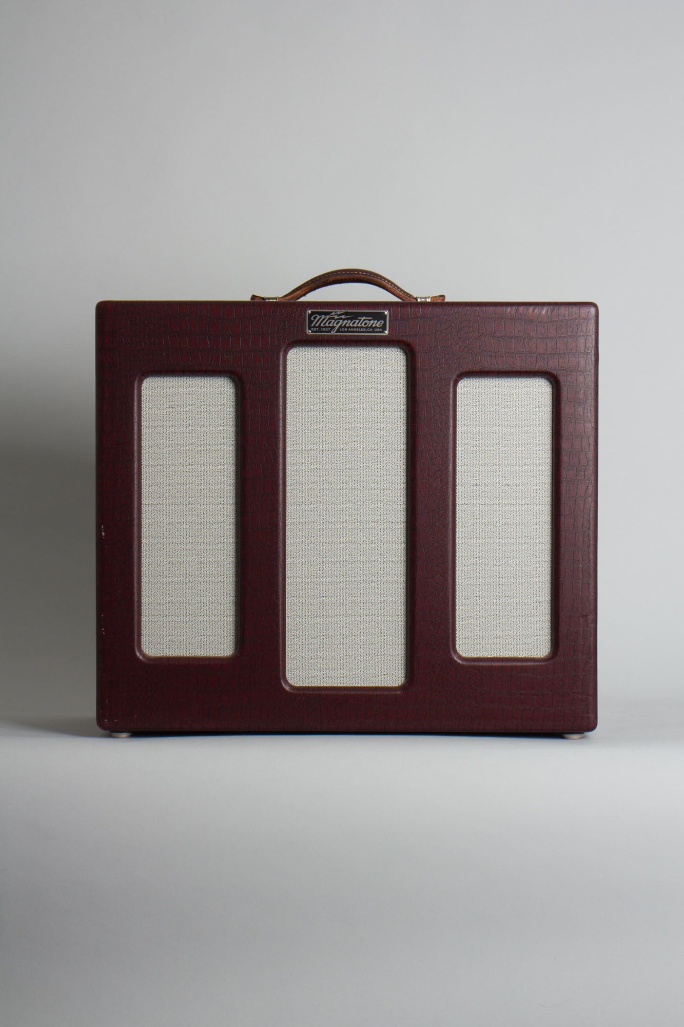 Magnatone Varsity Reverb Tube Amplifier (2013)