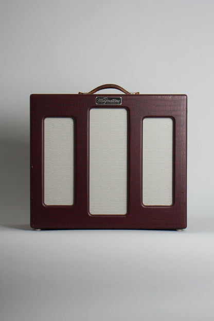 Magnatone Varsity Reverb Tube Amplifier (2013)