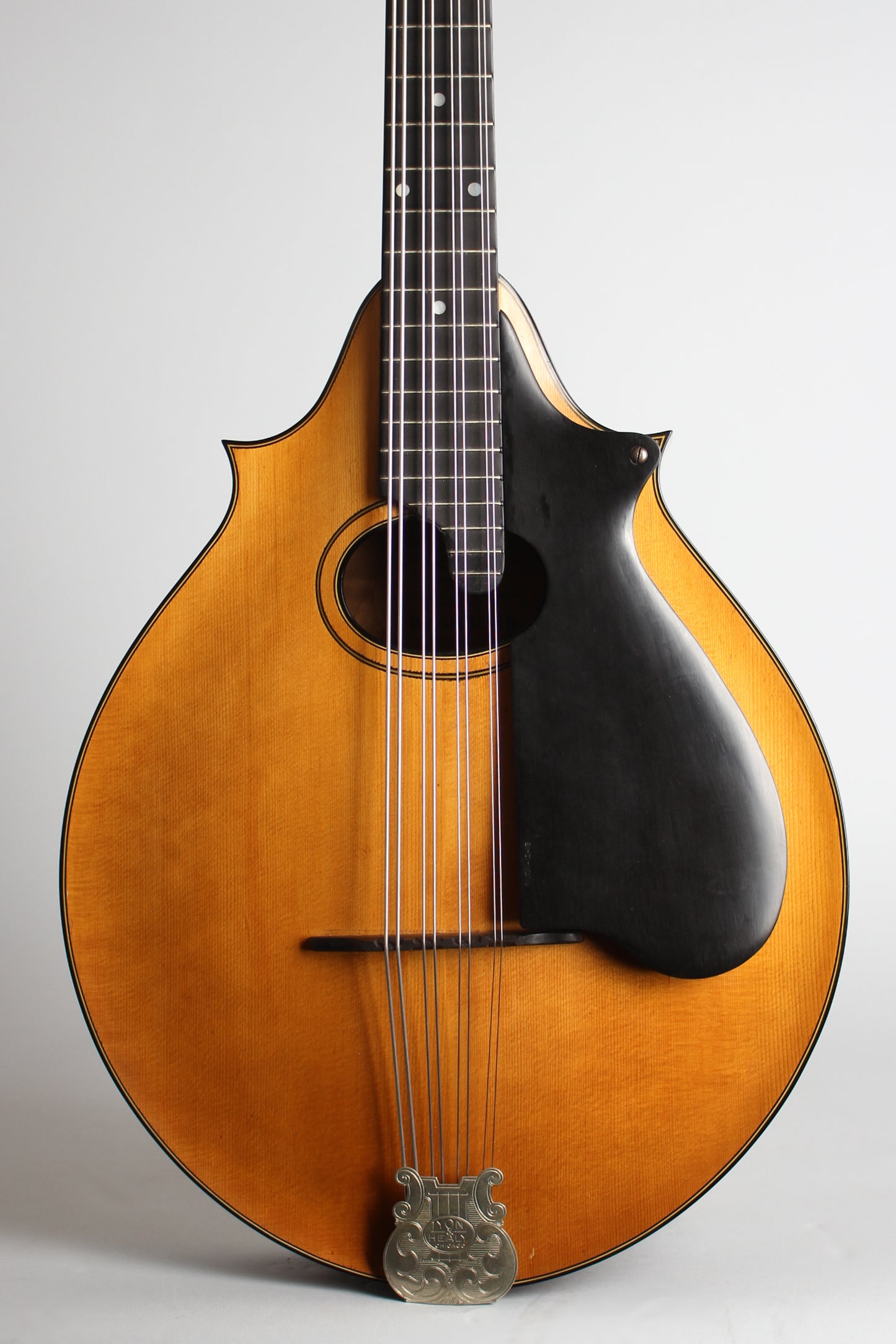 Lyon & Healy Washburn Style 5310 Carved Top Mandocello (1925)