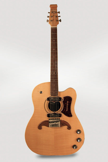 Baldwin - Burns Virginian Semi-Hollow Body Electric Guitar (1965)
