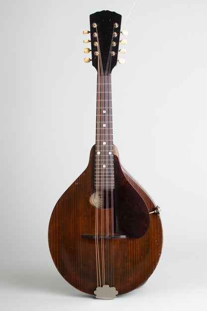 Gibson A-Junior Carved Top Mandolin (1921)