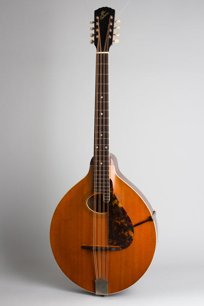 Gibson K-1 Carved Top Mandocello (1914)