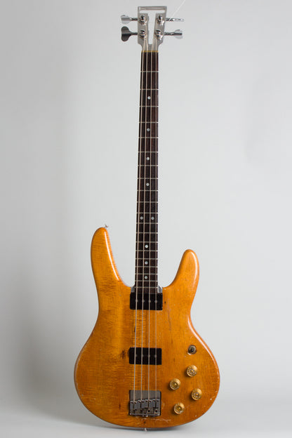 Travis Bean TB2000 Owned by Jeff Tweedy of Wilco Solid Body Electric Bass Guitar (1976)