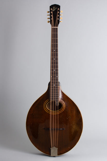Gibson K-1 Carved Top Mandocello (1921)