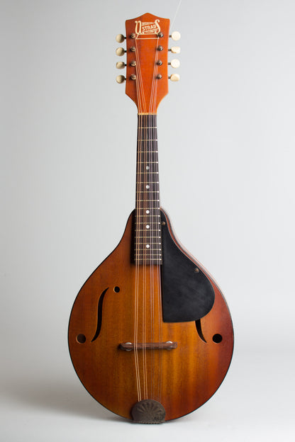 Stradolin Arch Top Mandolin (1950)