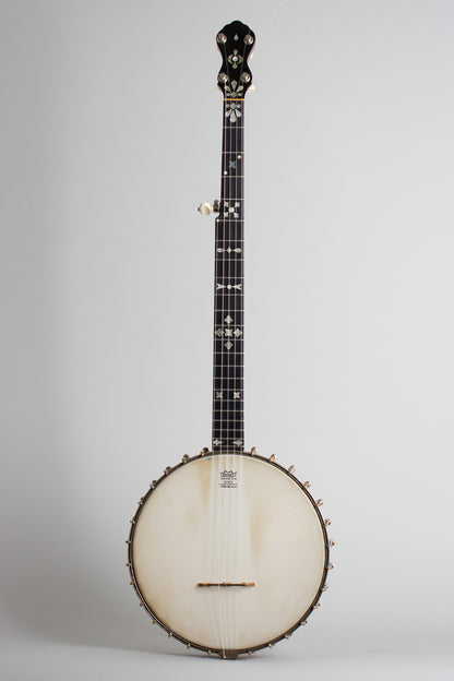 Fairbanks Special Electric 5 String Banjo (1898)