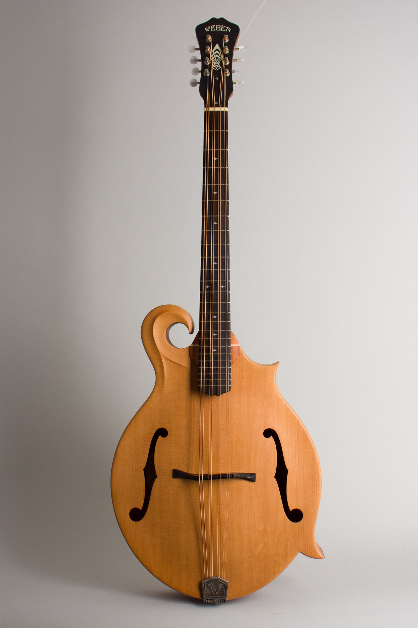 Weber Gallatin Carved Top Mandocello (2003)