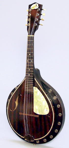 Blue Comet Arch Top Mandolin (1930's)