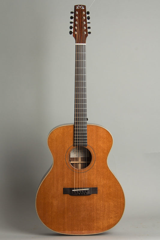 Circle Strings A-1 10 String Acoustic Flat Top Guitar (2018)