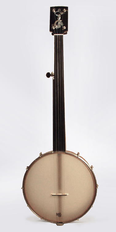 unknown 5 String Fretless Banjo