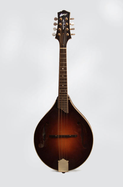 Collings MT2 Carved Top Mandolin (2002)