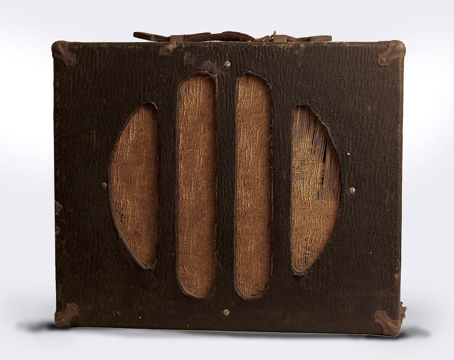 Rickenbacker Tube Amplifier (1935)