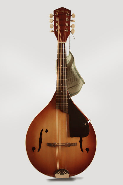 Harmony H-8010 Arch Top Mandolin (1972)