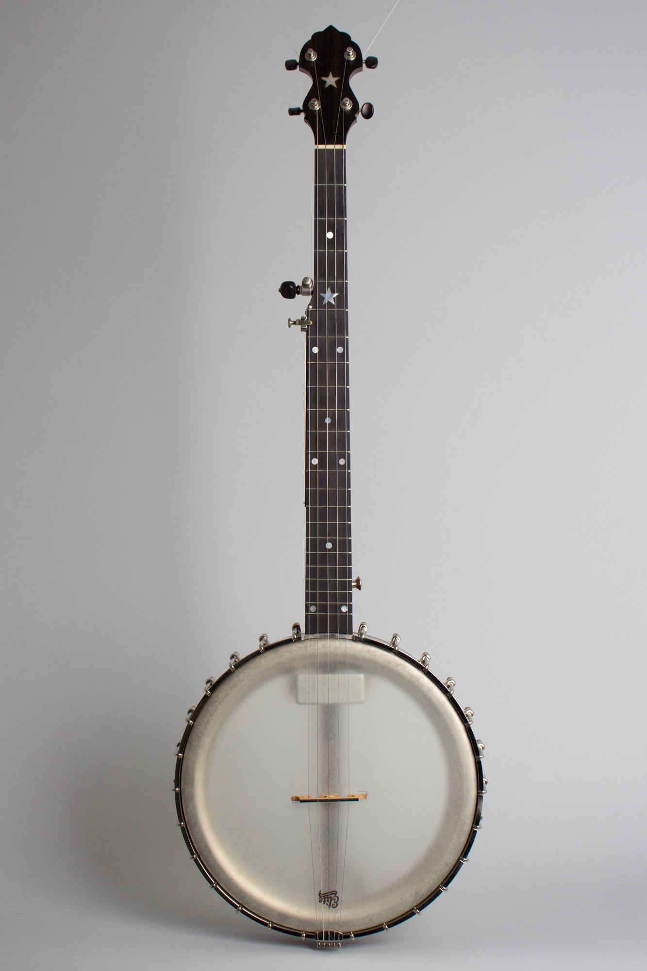Bart Reiter Dobaphone Custom 5 String Banjo (2014)