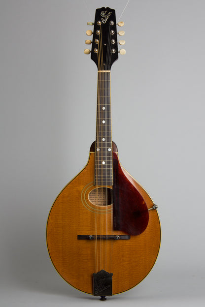 Gibson A-2 Snakehead Carved Top Mandolin (1923)