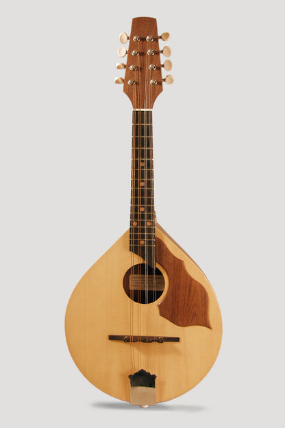 Will Parsons Heartwood Music Works Flat Top Mandolin (2000)