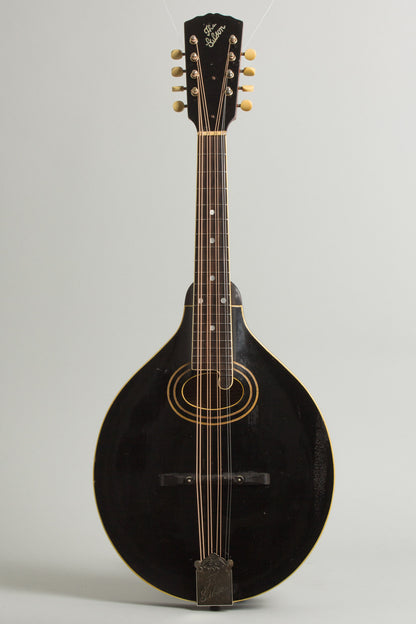 Gibson Style H-1 Carved Top Mandola (1923)