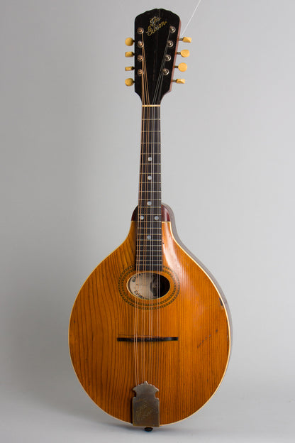 Gibson Style A-1 Carved Top Mandolin (1910)