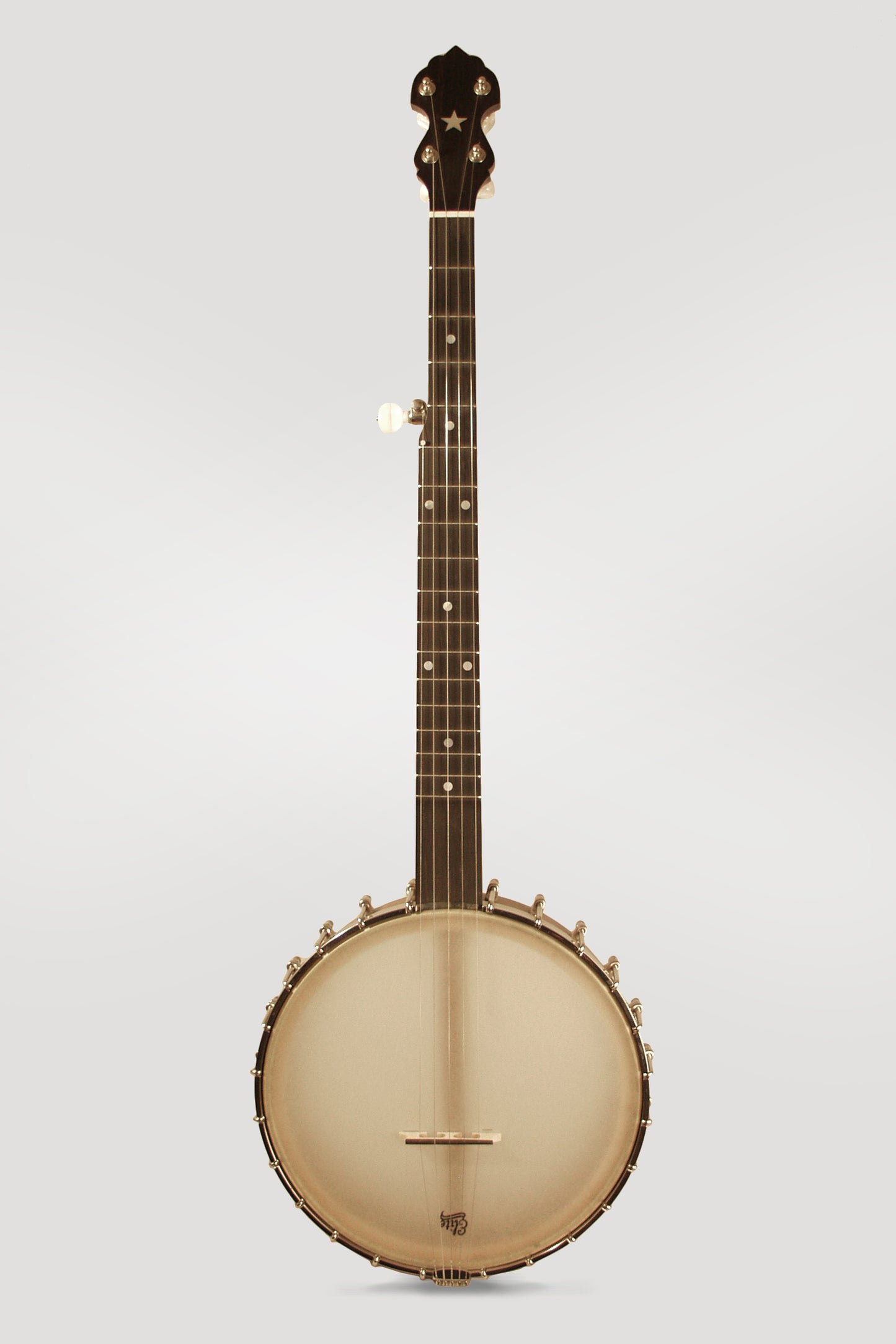 Bart Reiter Standard 5 String Banjo (2012)