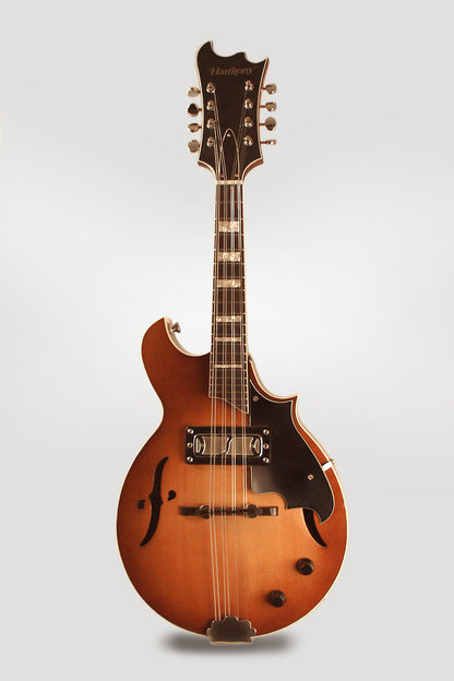 Harmony H-35 Hollow Body Electric Mandolin (1972)