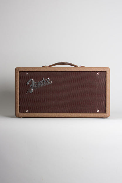 Fender Tube Reverb Unit Effect (1961)