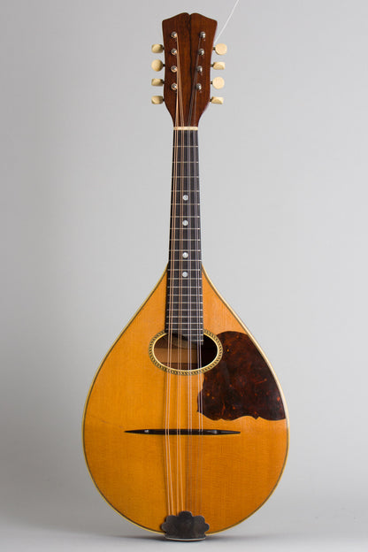 Vega Model 201 Flat Back, Bent Top Mandolin (1930)