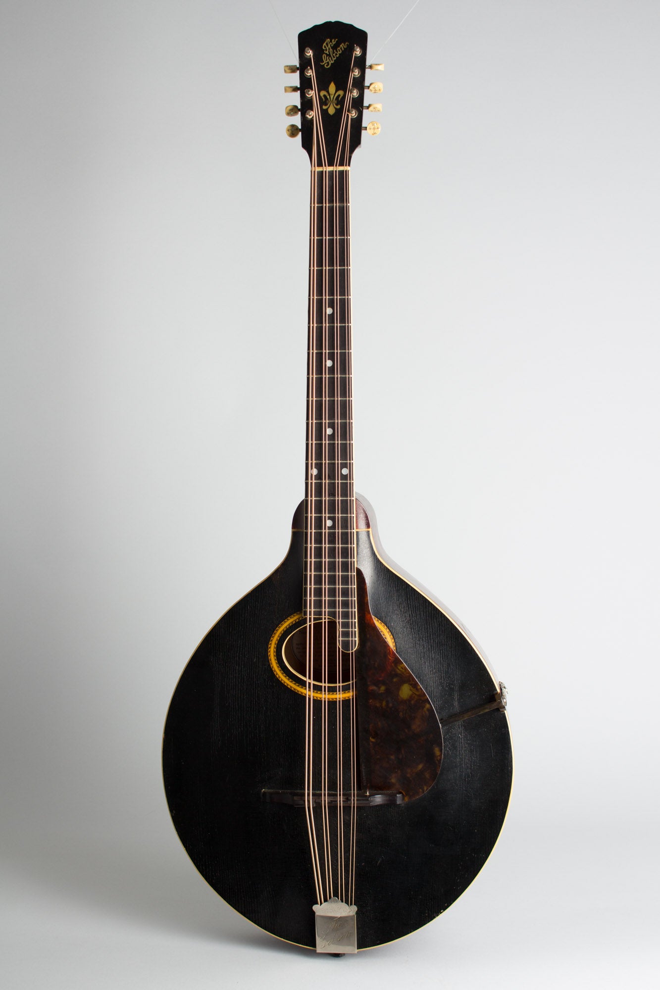 Gibson K-2 Carved Top Mandocello (1911)