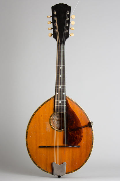 Gibson Alrite Style D Flat Top Mandolin (1917)