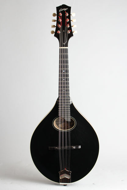 Collings MTO Carved Top Mandolin (2010)