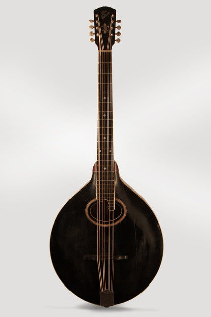 Gibson K-2 Carved Top Mandocello (1912)
