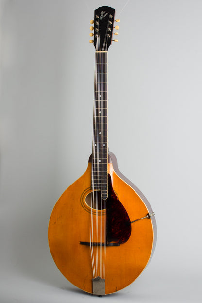 Gibson K-1 Carved Top Mandocello (1918)