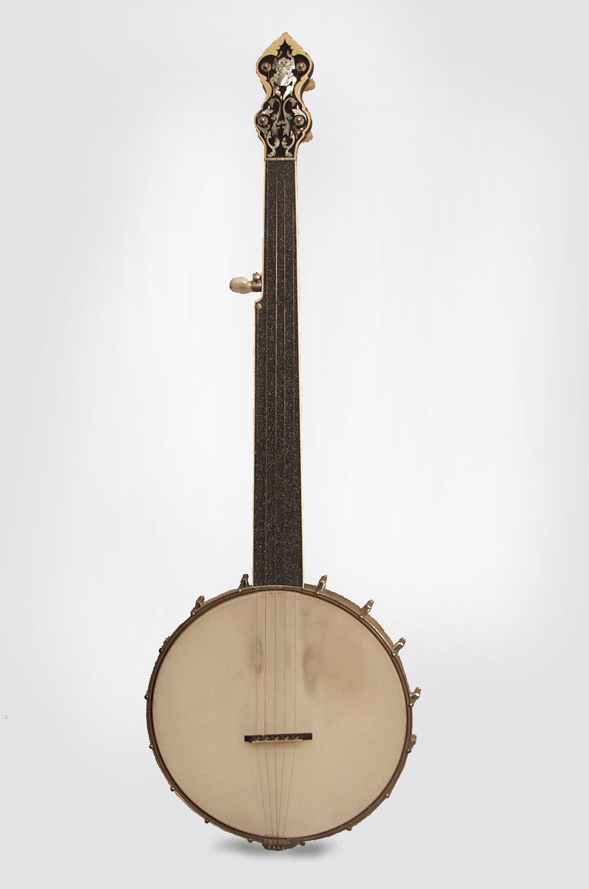 Alden Composite 5 String Fretless Banjo (1980's)