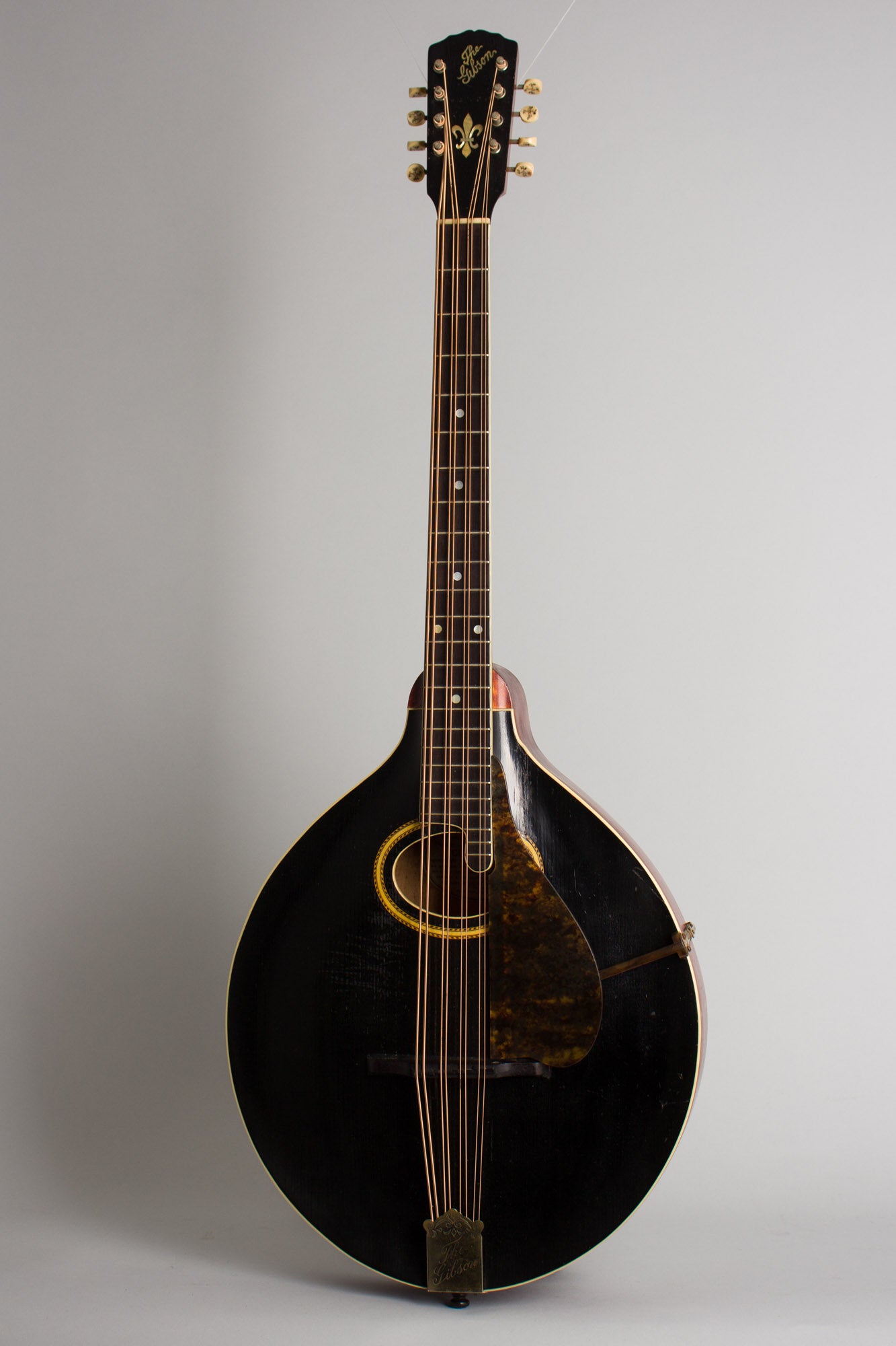 Gibson K-2 Carved Top Mandocello (1913)