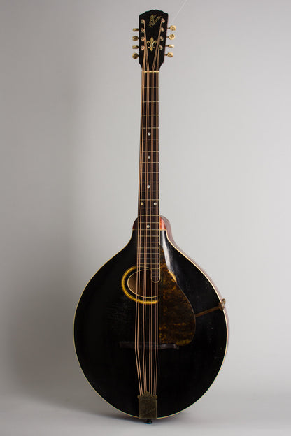 Gibson K-2 Carved Top Mandocello (1913)