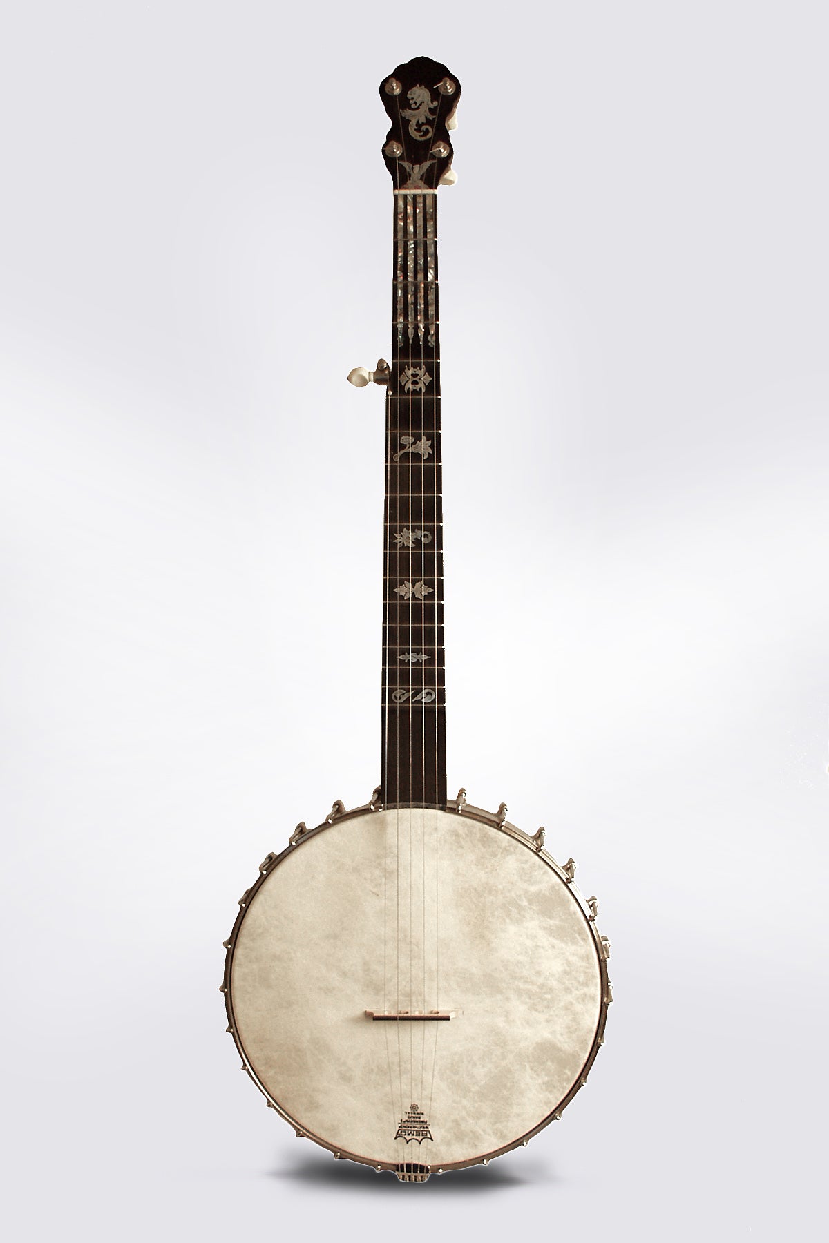 Mike Ramsey 5 String Banjo
