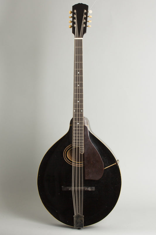 Gibson K-1 Carved Top Mandocello (1924)
