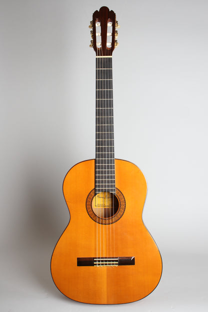 Manuel Raimundo Model 145F Flamenco Guitar (1990)