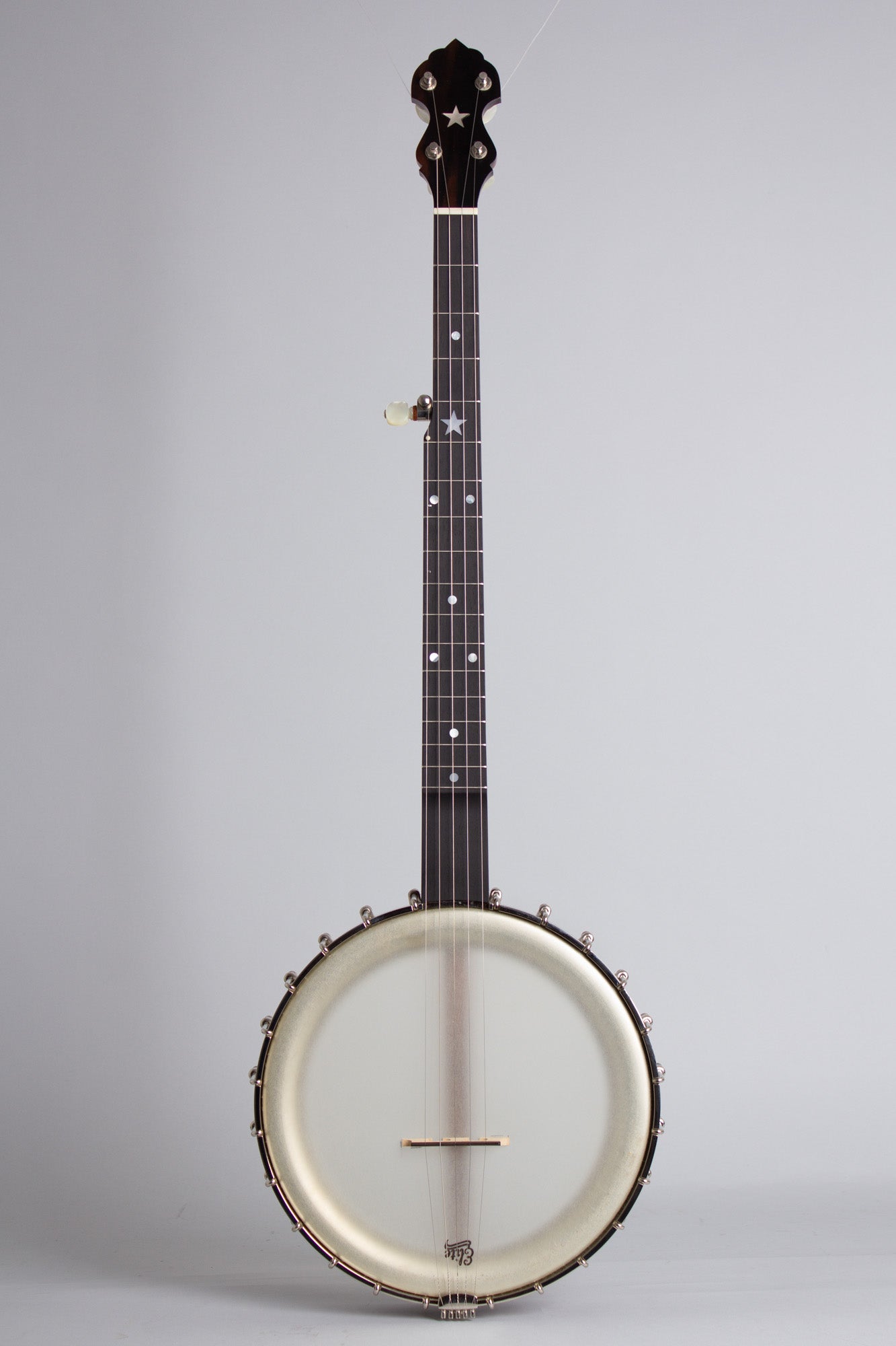Bart Reiter Dobaphone 5 String Banjo (2020)