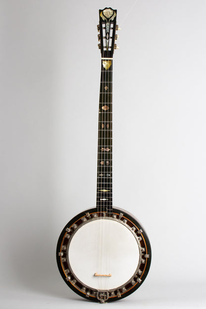 Cammeyer Vibrante 5 String Zither Banjo (1920)
